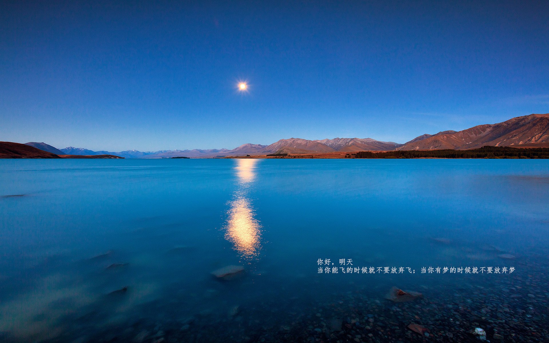 新王炸裂，团队洪流！爱德华兹爆发，猛龙火力压制雄鹿