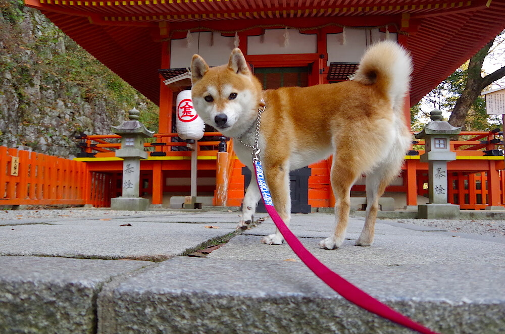传导时代的分割线,当贝恩的电子脉冲肢解休斯顿