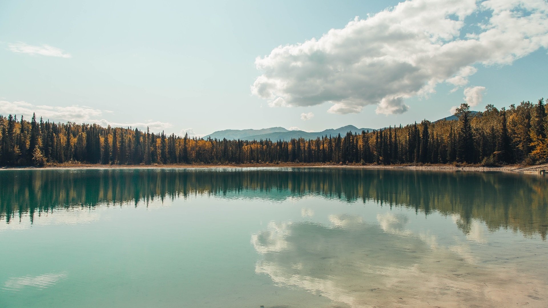 东决关键战之夜，弗拉霍维奇—用灵魂统治球场的造梦者