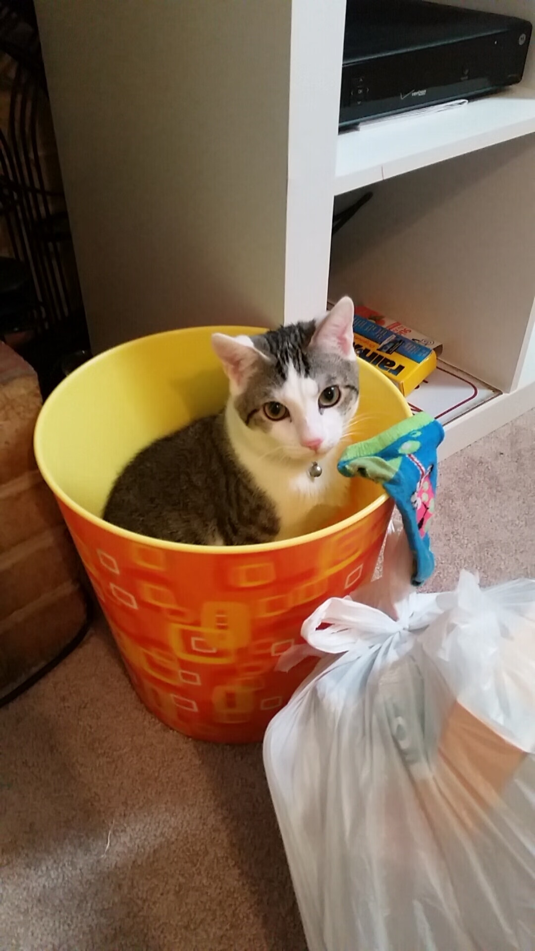 当F1街道赛变篮球场，德罗赞的中投就是我的超车弯道