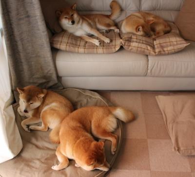 得分机器的双重奏鸣，勇士用连续进攻浪潮淹没热火，东契奇化身关键先生主宰比赛