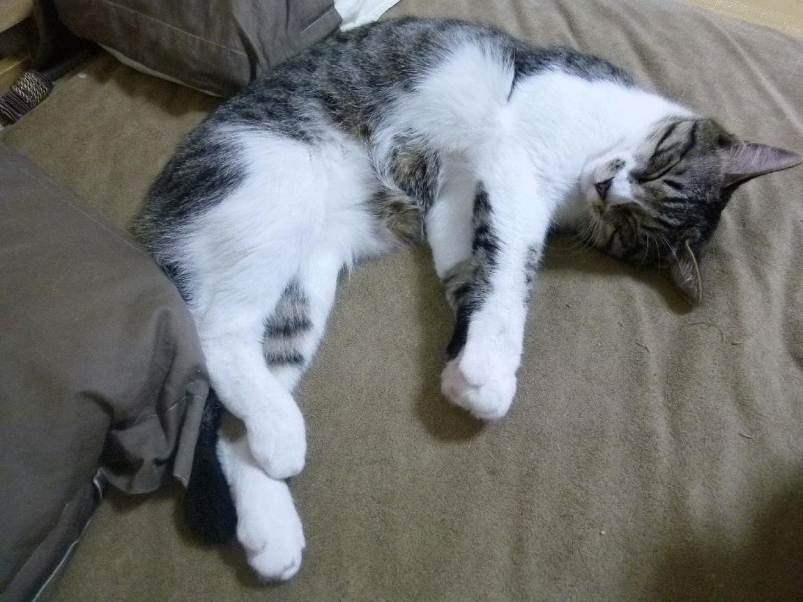 双重奏,当奥地利拿下曼联,阿克在东决的钢铁丛林里写就非典型胜利宣言