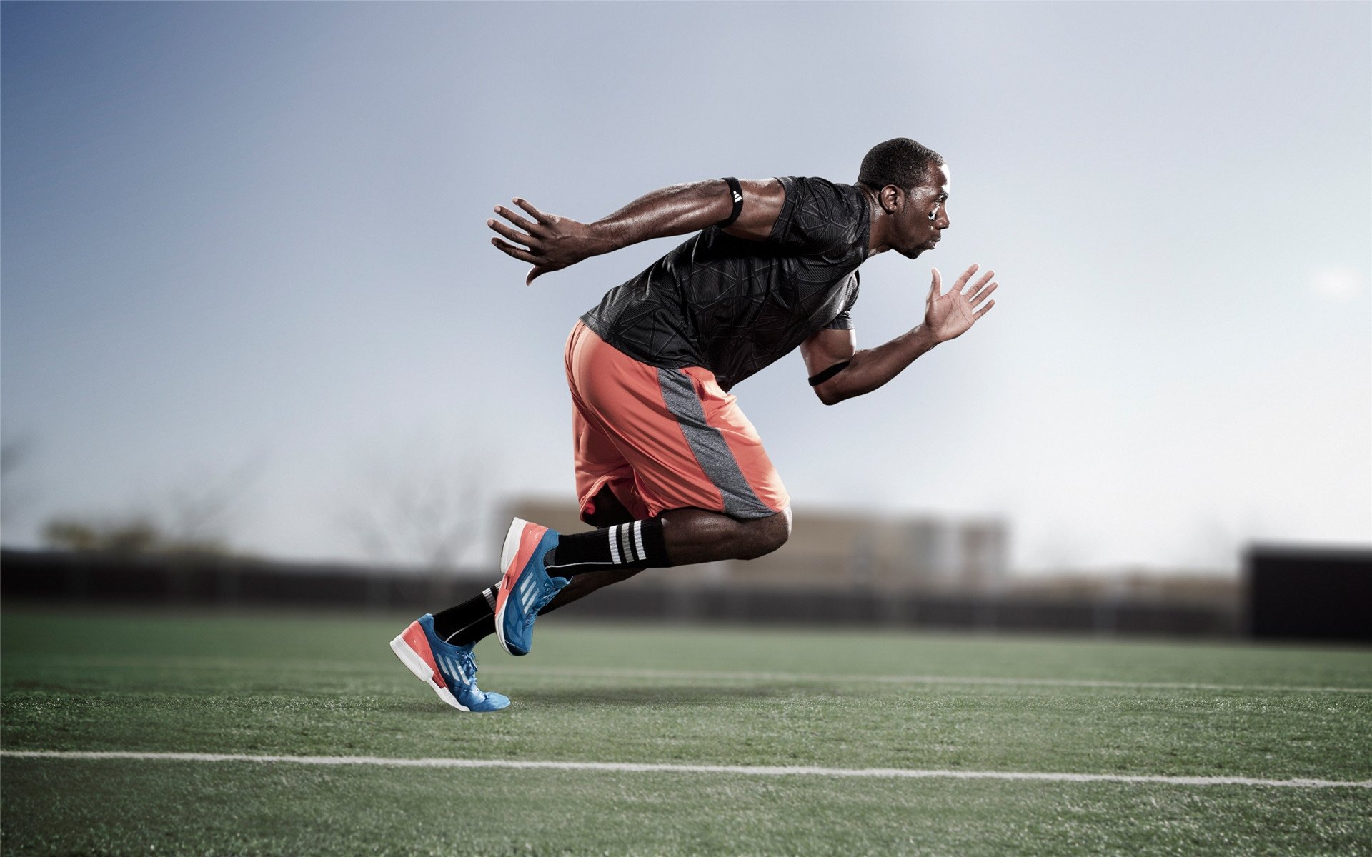 重槌击碎悬念，靴室叹息声中的紫百合惊雷