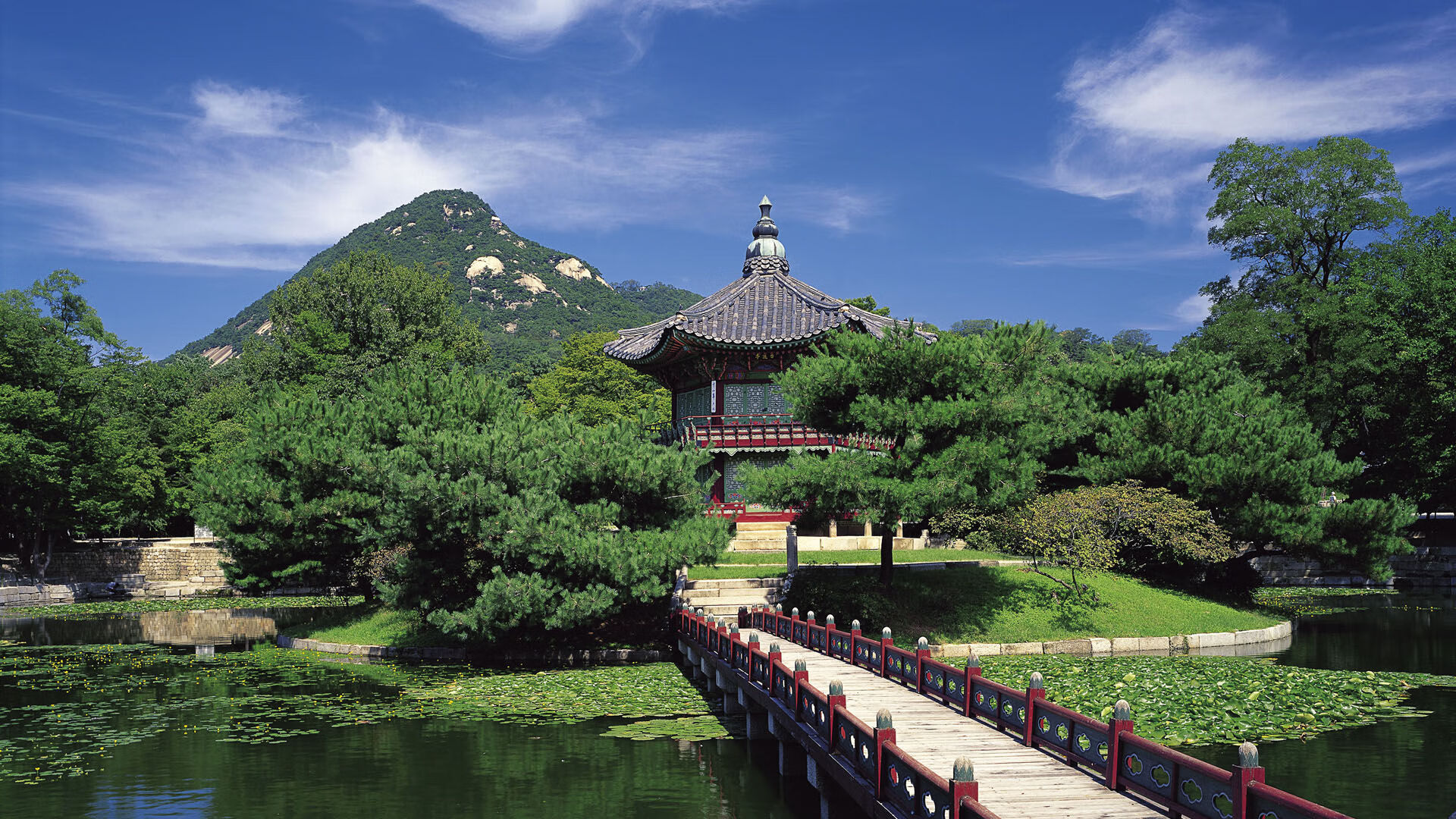 佛罗伦萨文艺复兴的引擎轰鸣，当米开朗基罗的曲线撕裂伊斯坦布尔的星月神话