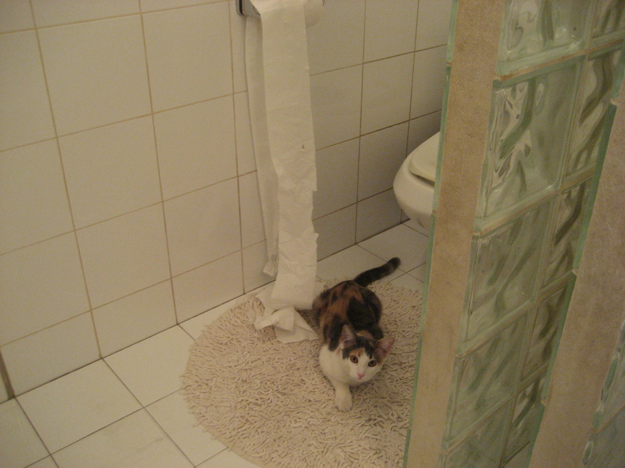 老兵不死，亦不凋零—38岁的保罗用一记致命抛投为篮网锁定胜局