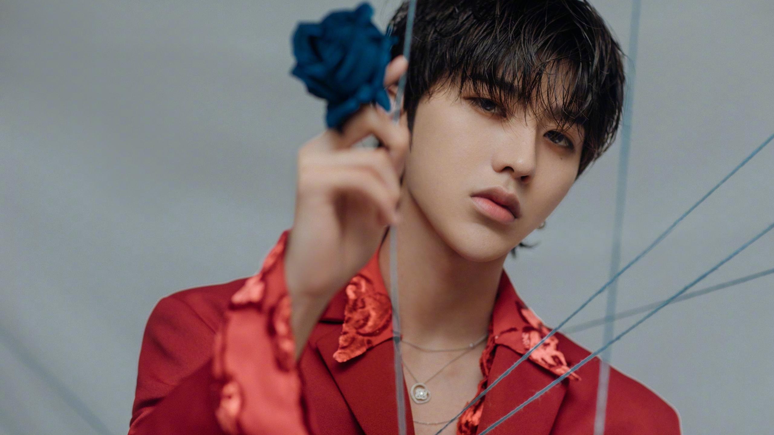 当东方的坚硬遇见西方的魔法，广厦之盾在哈利伯顿的星芒下沉思