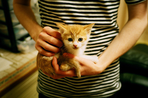 跨越大陆的证明，当福登在亚特兰大遇见智利