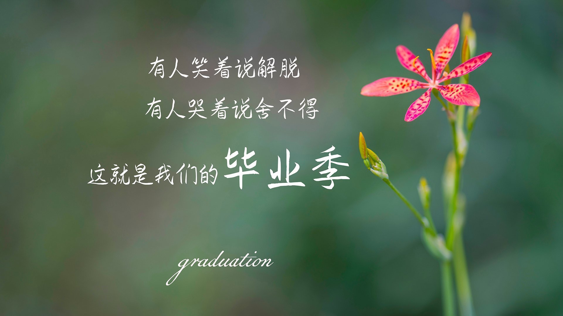 亚洲风暴席卷德国!勒沃库森全面压制阿根廷,李刚仁大场面先生一剑封喉