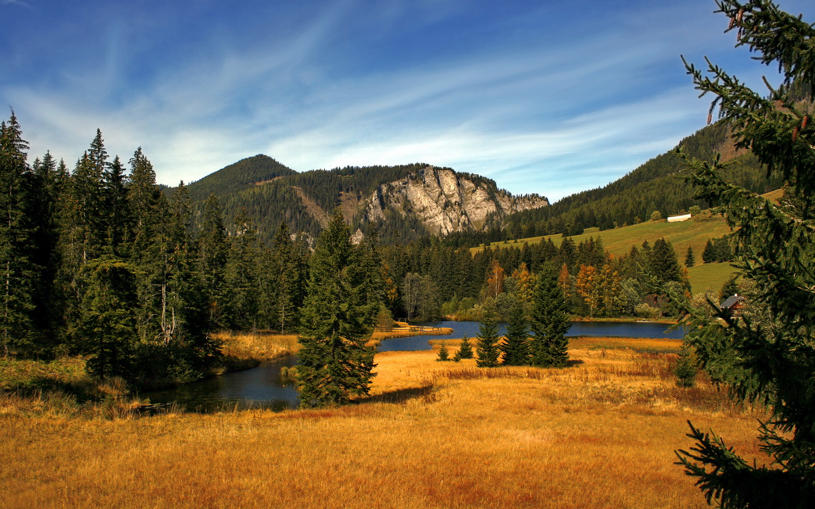 单星闪耀难敌群狼噬金,当楚阿梅尼的星光撞上土耳其的钢铁洪流