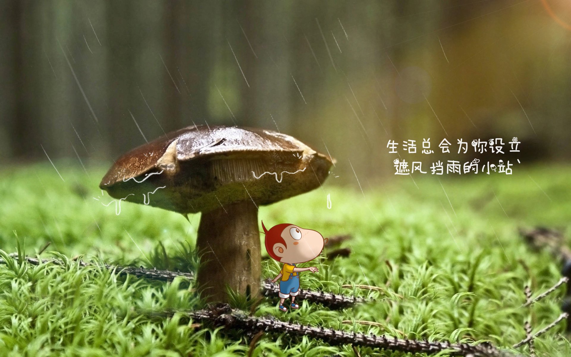 一堵名为哈基米的墙，与一片沙漠中升起的绿洲，当阿联酋在世界杯B组击碎北欧神话