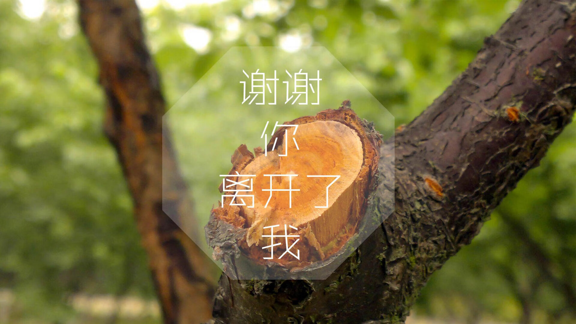 北境唯一之夜,2026世界杯E组,加维的烈焰刺破喀尔巴阡山脉的寒霜