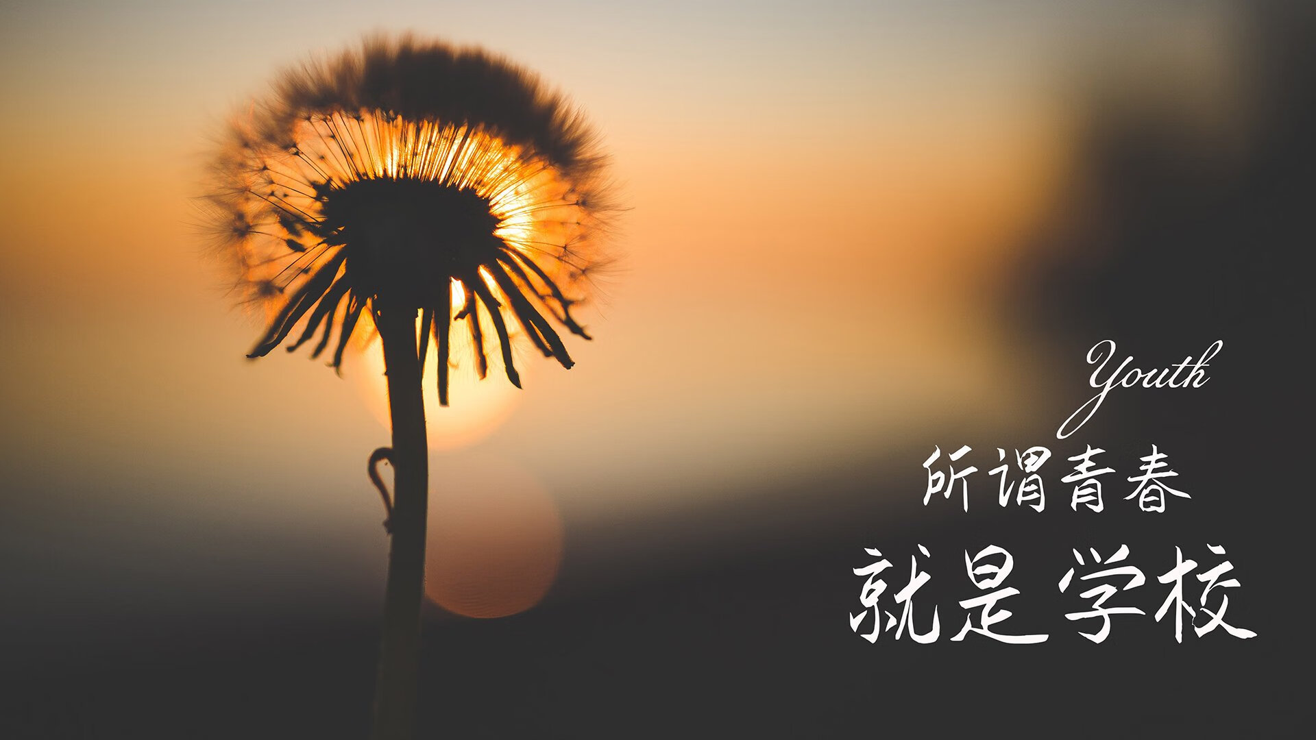 当节奏成为唯一的战场,拉什福德与厄瓜多尔如何定义2026世界杯的唯一性